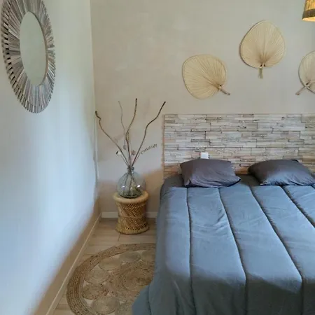 Au Pied Des Vignes Champenoise Tatil Evi *