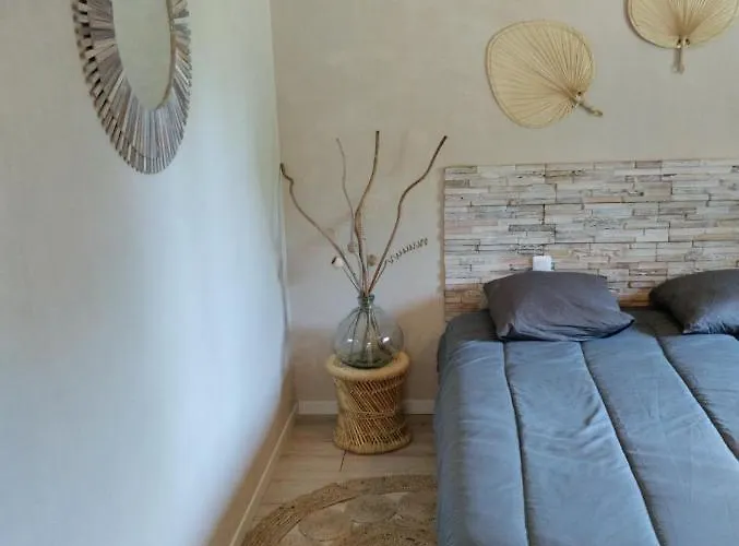 Hébergement de vacances Au Pied Des Vignes Champenoise