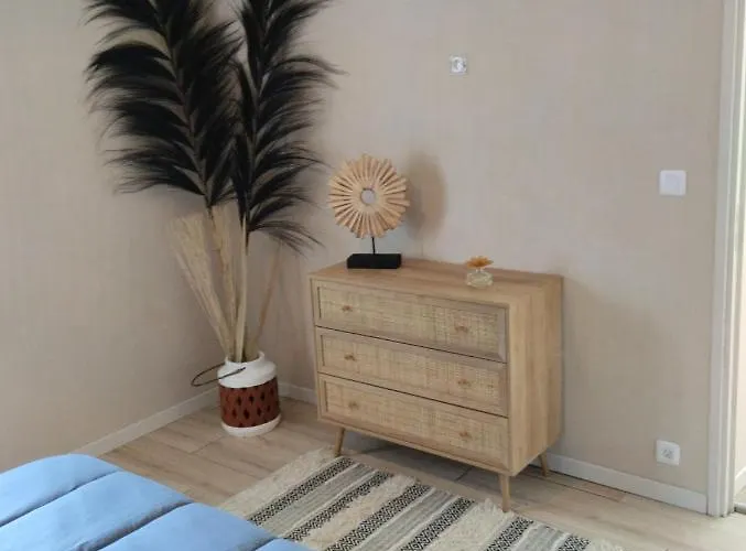 Au Pied Des Vignes Champenoise