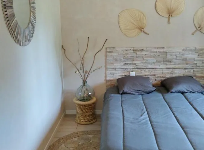 Au Pied Des Vignes Champenoise Hébergement de vacances *